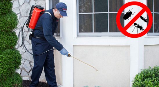 Sındırgı Tahtakurusu İlaçlama böcek ilaçlama ve haşere kontrolü — ilaclama-tr.com